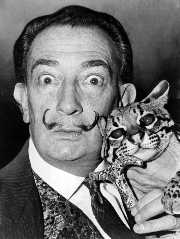 artists cats: Salvador Dalí with his ocelot Babou, 1965, Library of Congress, Washington, DC, USA. Wikimedia Commons (public domain).
