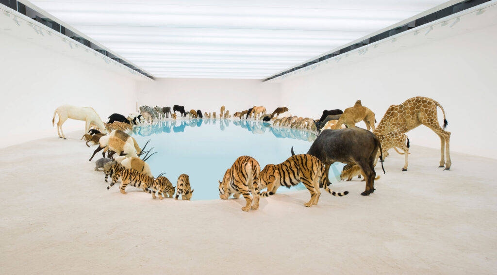 Taxidermy in art: Cai Guo Qiang, Heritage, 2013. The Guardian.
