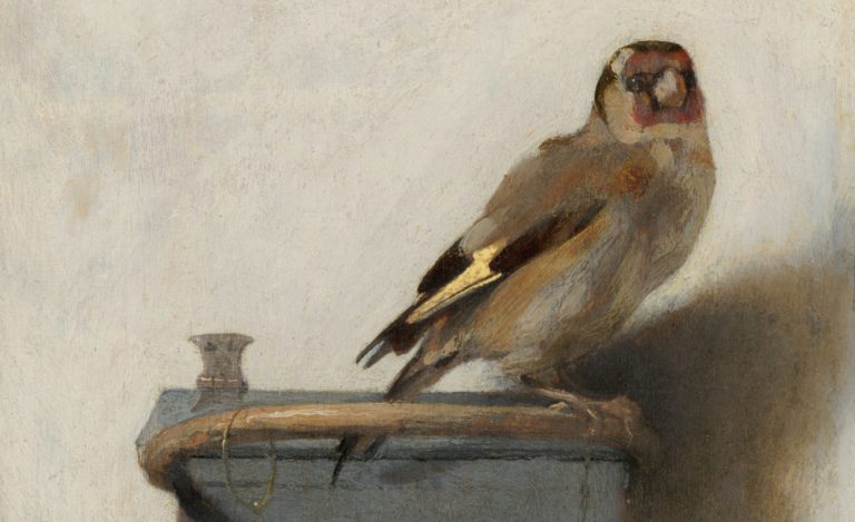 Goldfinch: Carel Fabritius, The Goldfinch, 1654, Mauritshuis, The Hague, Netherlands. Detail.
