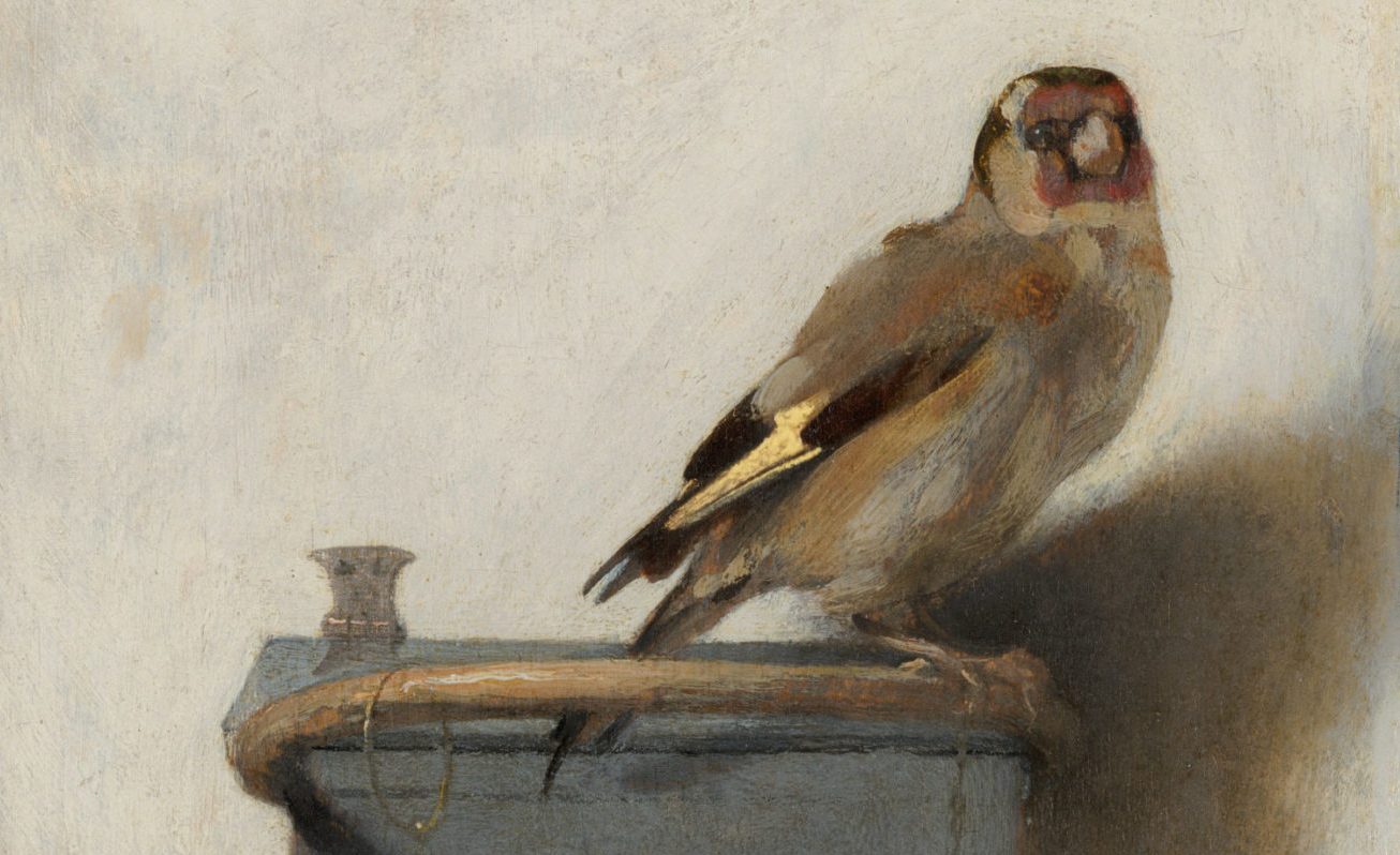The Goldfinch: Singing Across Time | DailyArt Magazine