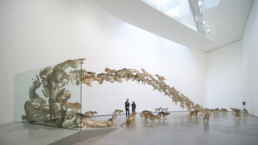 Taxidermy in art: Cai Guo Qiang, Head On, 2006, Deutsche Guggenheim, Berlin, Germany. Artist’s website.
