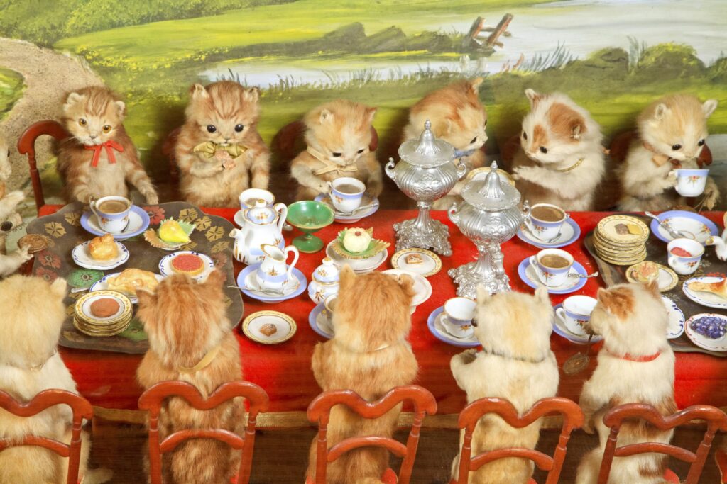 Walter Potter, The Kitten's Tea Party, Morbid Anatomy Museum, Gowanus, Brooklyn, US. Source: Dailymail.