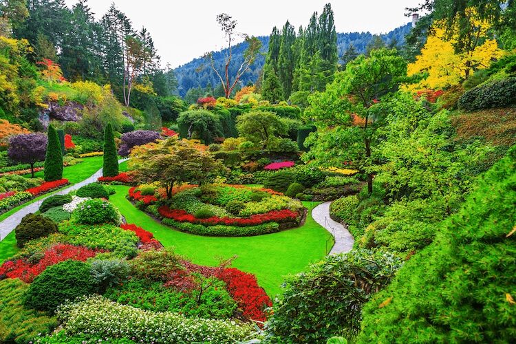 world colorful gardens: Butchart Gardens, British Columbia, Canada. My Modern Met.
