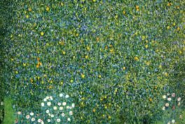 Klimt landscapes