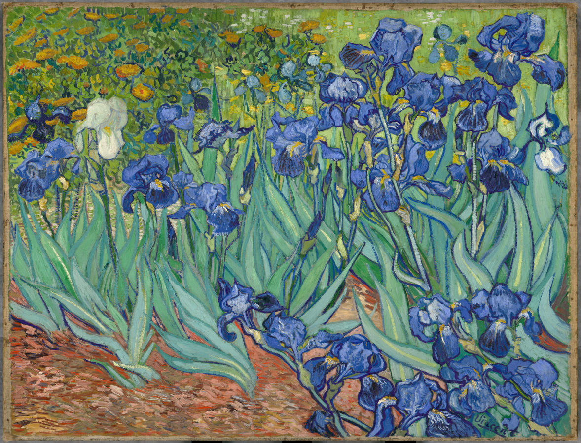 Masterpiece Story: Irises by Vincent van Gogh