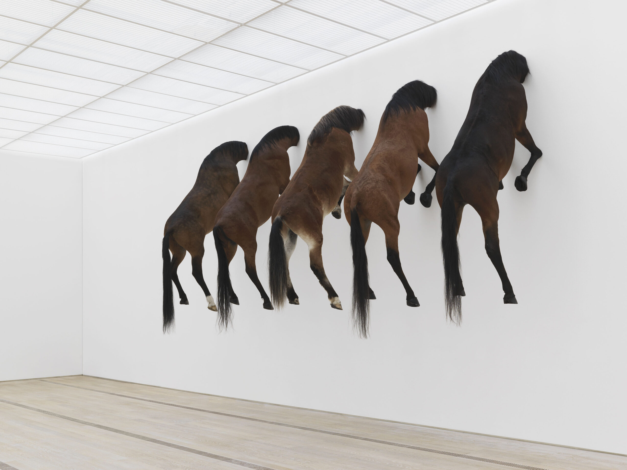 From Specimen to Contemporary Taxidermy in Art | DailyArt Magazine