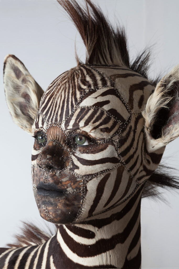 Taxidermy in art: Kate Clark, She gets what she wants, 2013. Artist’s website.
