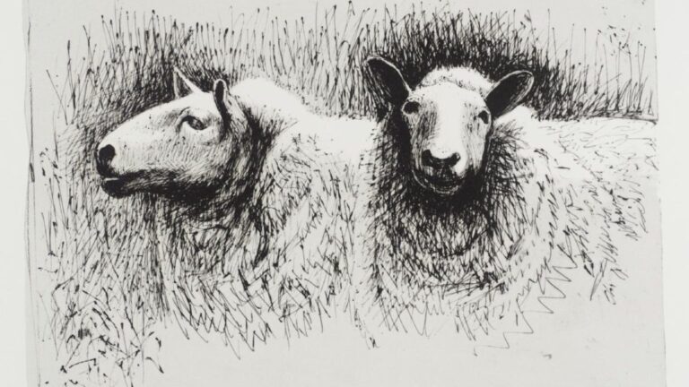 Henry Moore Sheep: Henry Moore, Sheep Before Shearing, 1974, Tate, London, UK.
