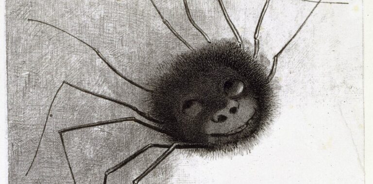 Odilon redon: Odilon Redon, The Crying Spider, 1887, The Baltimore Museum of Art, Baltimore, MD, USA. Detail.
