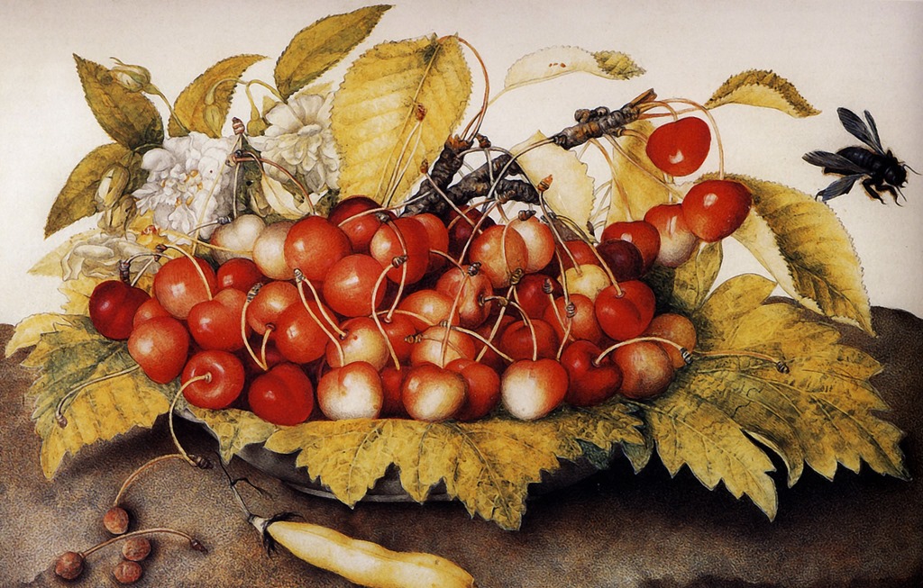 artsy advent calendar: Artsy Advent Calendar: Giovanna Garzoni, Still Life with Cherries, Palazzo Pitti, Florence, Italy. Detail.
