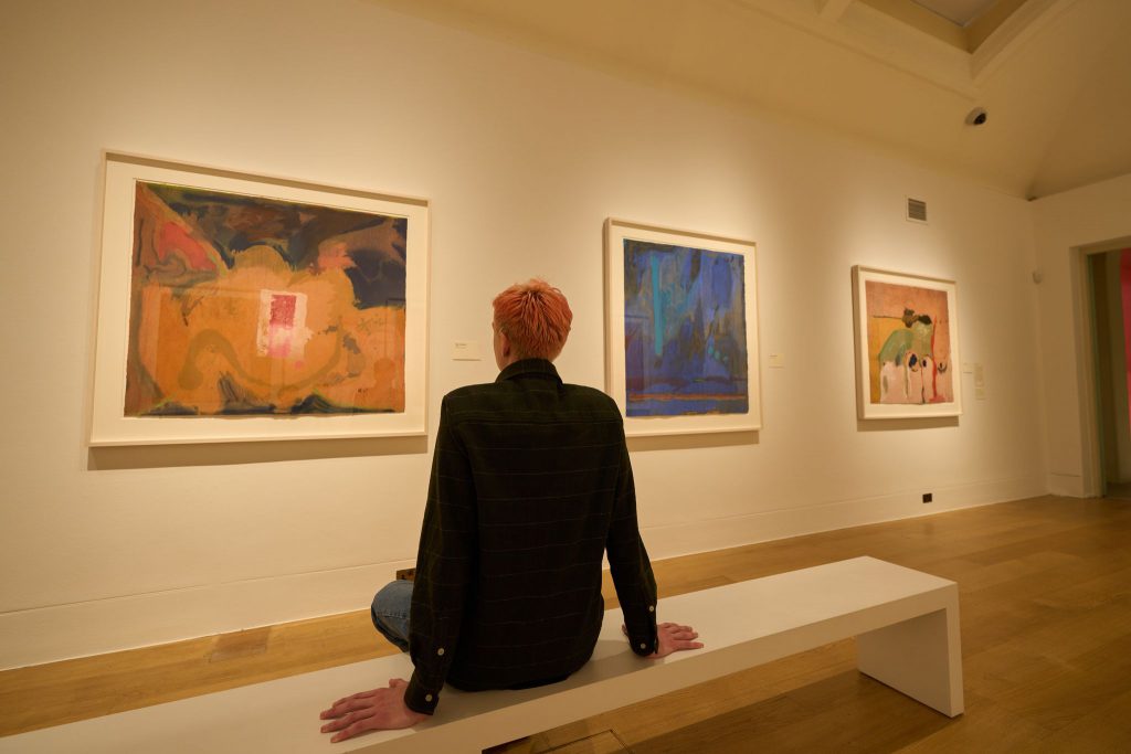 helen frankenthaler dulwich: Installation view: Radical Beauty, 2021, Dulwich Picture Gallery, London, UK. Photo by Alick Cotterill.
