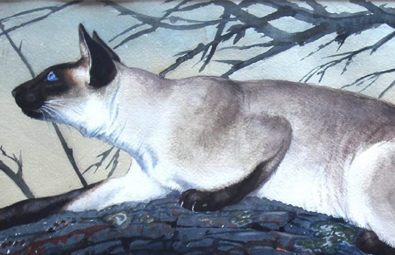 Charles Frederick Tunnicliffe cats: Charles Frederick Tunnicliffe, Stalking Siamese Cat. The Great Cat. Detail.
