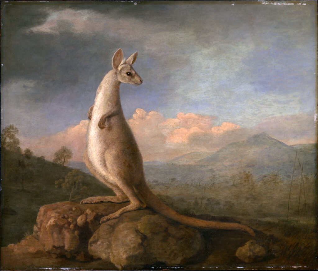 Painting of a kangaroo on a rock