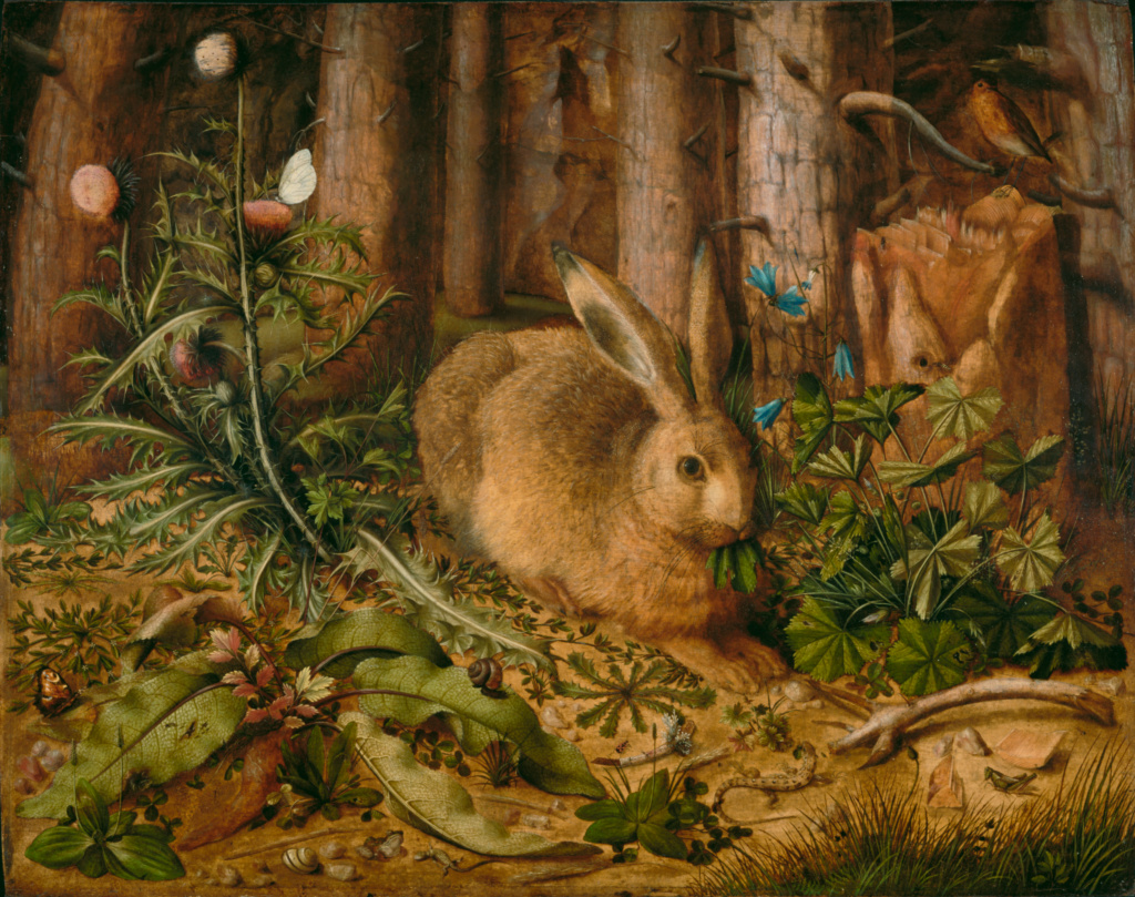 Animal Paintings: Hans Hoffmann, A Hare in the Forest, circa 1585, Getty Museum, Los Angeles, CA, USA.
