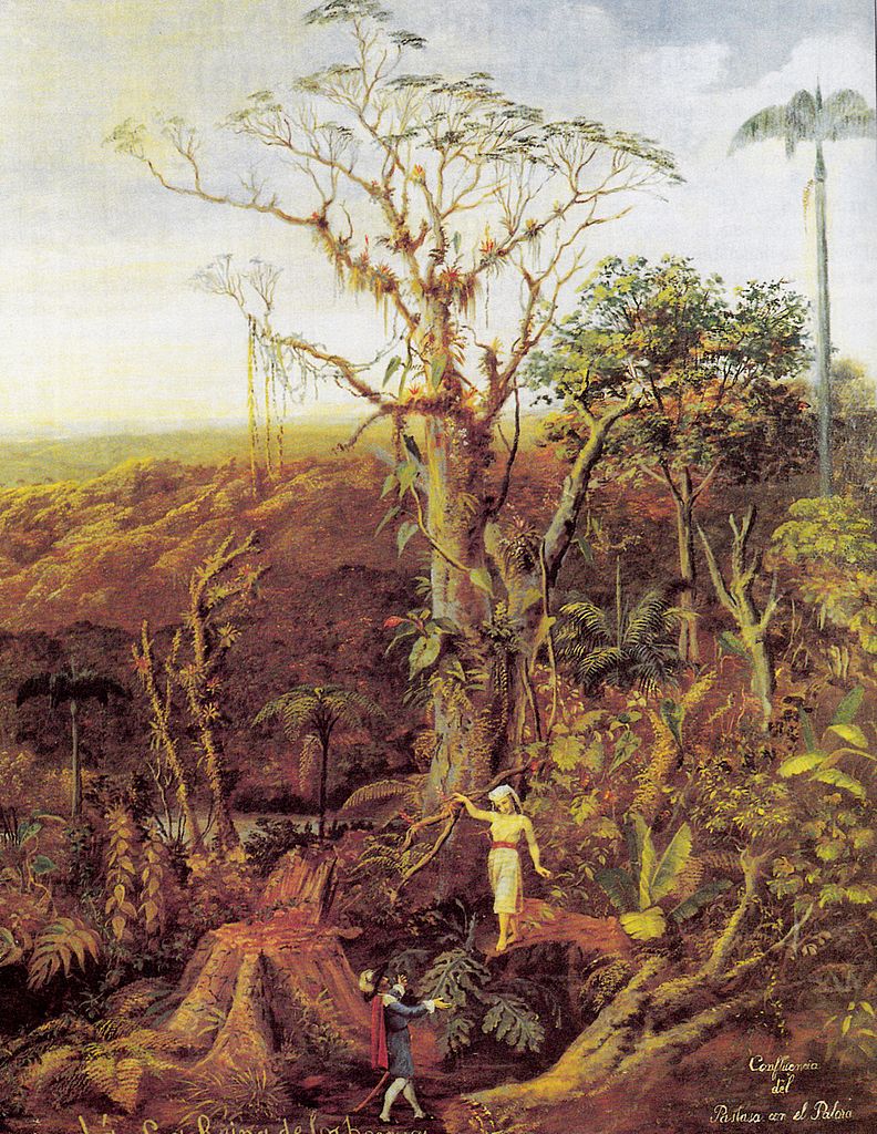 Atala: Rafael Salas, Cumanda, the queen of the forest, 19th century. Wikipedia.
