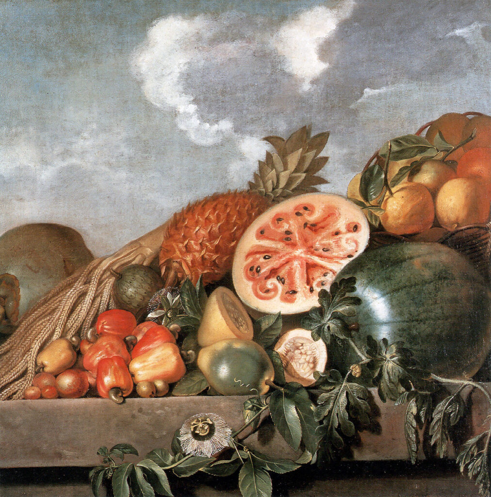 Frans Post: Albert Eckhout, Pineapple, watermelons and other fruits (Brazilian fruits), 17th century, National Museum of Denmark, Copenhagen, Denmark.
