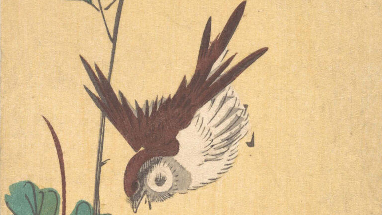 Birds in art cover Hiroshige