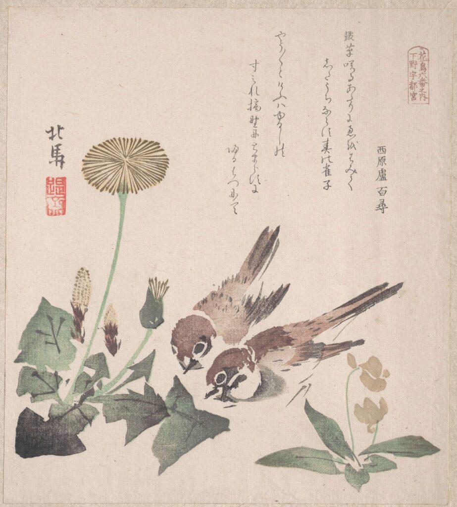 birds in art: Teisei Hokuba, Spring Rain Collection (Harusame shū), vol. 3: Sparrows and Dandelions, ca. 1820, woodblock print, The Metropolitan Museum of Art, New York, NY, USA.
