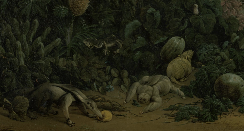 Frans Post: Frans Post, View of Olinda, Brazil, Anteater, Sloth, Lizard and Armadillo, 1662, Rijksmuseum, Amsterdam, Netherlands. Detail.
