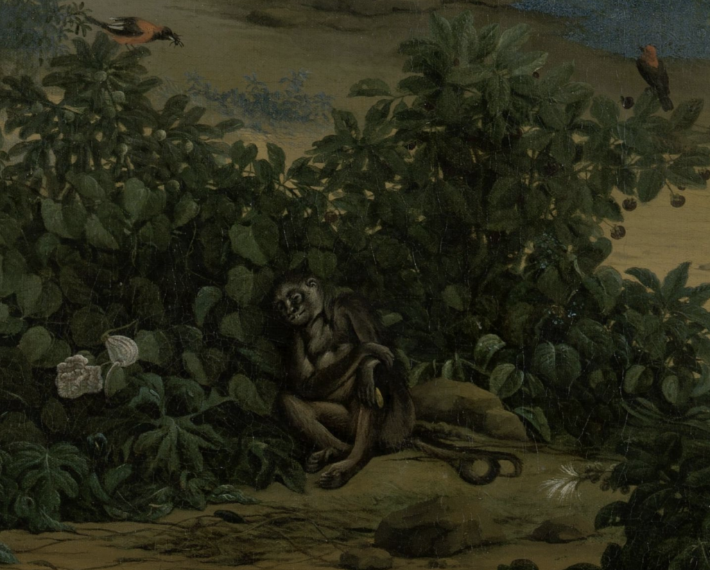 Frans Post: Frans Post, View of Olinda, Brazil, Monkey, 1662, Rijksmuseum, Amsterdam, Netherlands. Detail.

