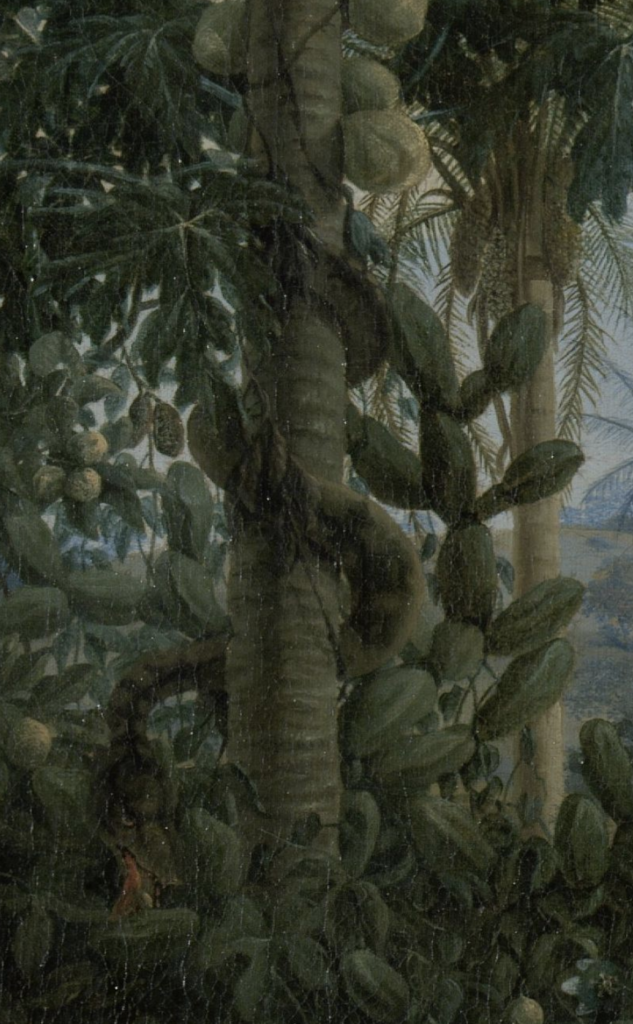 Frans Post: Frans Post, View of Olinda, Brazil, Snake (Anaconda?), 1662, Rijksmuseum, Amsterdam, Netherlands. Detail.
