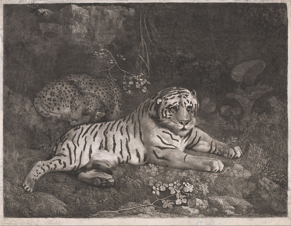 chinese new year, George Stubbs, A Tiger and a Sleeping Leopard, 1788
