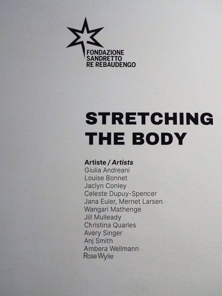 body representation art: Photo from Stretching the Body, exhibition, 2022, Fondazione Sandretto, Turin, Italy. Photo by the author.
