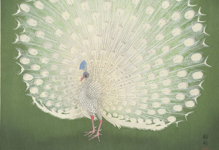 birds in art: Ohara Koson, Peacock, 1925–1936, Rijksmuseum, Amsterdam, Netherlands. Detail.
