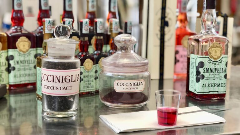 pharmacy museums: Apothecary jars from the Santa Maria Novella pharmacy, Florence, Italy. ciaobella.
