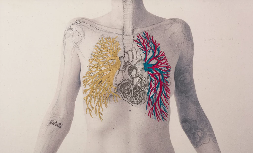 anatomy, Juana Gomez, Constructal 3, 2015