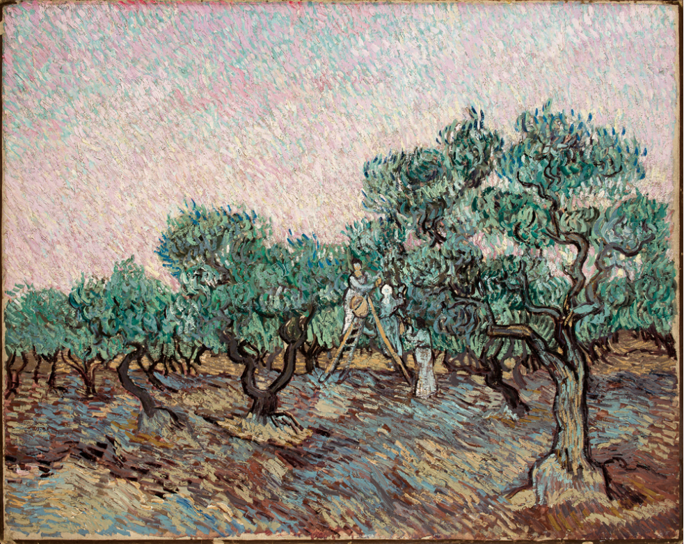 Vincent van Gogh, Olive Picking, 1889, oil on canvas. Basil & Elise Goulandris Foundation, Athens, Greece.