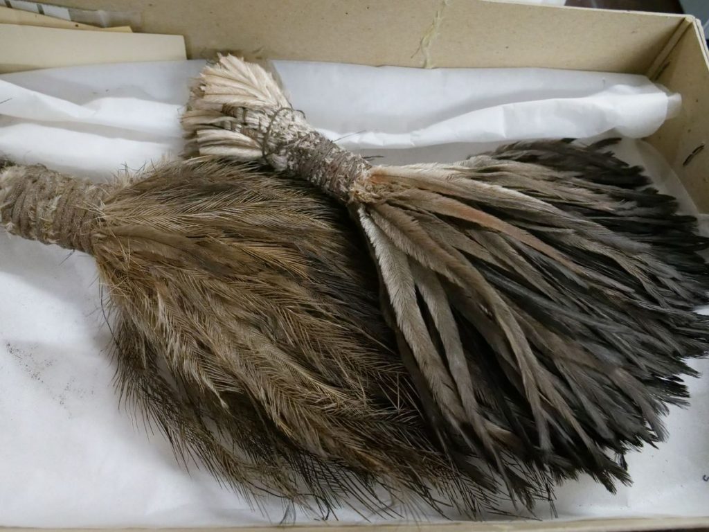 Aboriginal cultural heritage: Ceremonial headpiece made of feathers. Manchester Evening News.
