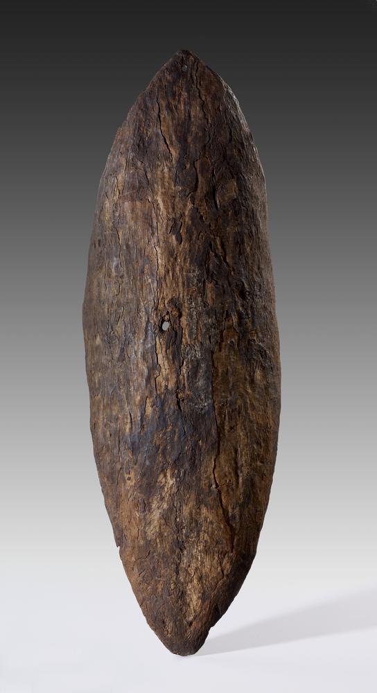 Aboriginal cultural heritage: Gweagal shield, late 18th century, British Museum, London, UK.
