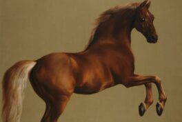 A dark brown horse rears on its hind legs; an olive green background: George Stubbs, Whistlejacket, c.1762, The National Gallery, London, UK.