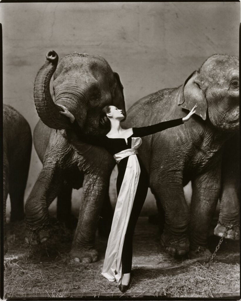 fashion photographers: Richard Avedon, Dovima with elephants wearing an evening dress by Dior, Paris, 1955, Art Institute of Chicago, IL, USA.
