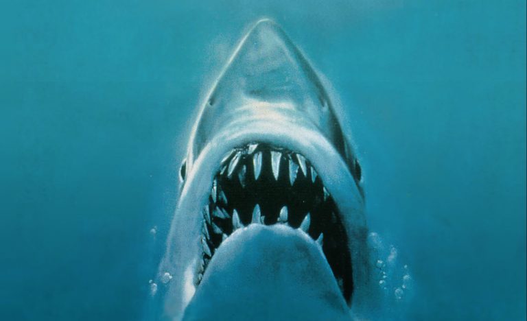 jaws painting missing: Roger Kastel, movie poster for Jaws, directed by Steven Spielberg, 1975. Jaws Fandom. Detail.
