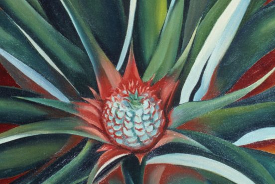 Kusama and O’Keeffe: An Art Dialog | DailyArt Magazine