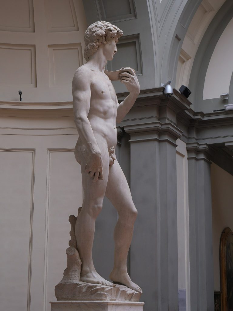 David Michelangelo: Michelangelo, David, side view, 1501–1504, Galleria dell’Accademia, Florence, Italy. Photograph by Jörg Bittner Unna via Wikimedia Commons (CC BY-SA 4.0).
