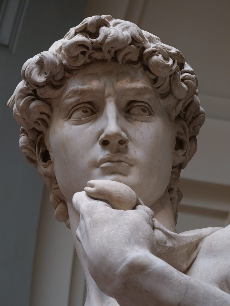 David Michelangelo: Michelangelo, David, face detail, 1501–1504, Galleria dell’Accademia, Florence, Italy. Photograph by Jörg Bittner Unna via Wikimedia Commons (CC BY-SA 4.0).
