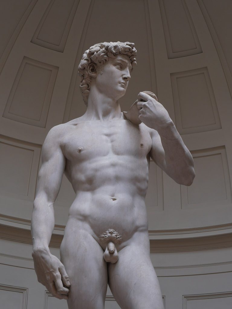 David Michelangelo: Michelangelo, David, view from below, 1501–1504, Galleria dell’Accademia, Florence, Italy. Photograph by Jörg Bittner Unna via Wikimedia Commons (CC BY-SA 4.0).
