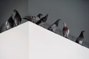 maurizio Cattelan pigeons: Maurizio Cattelan, Ghosts, 2021. The Art Newspaper.
