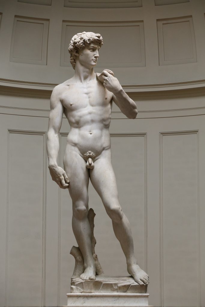 David Michelangelo: Michelangelo, David, 1501–1504, Galleria dell’Accademia, Florence, Italy. Photograph by Jörg Bittner Unna via Wikimedia Commons (CC BY-SA 3.0).
