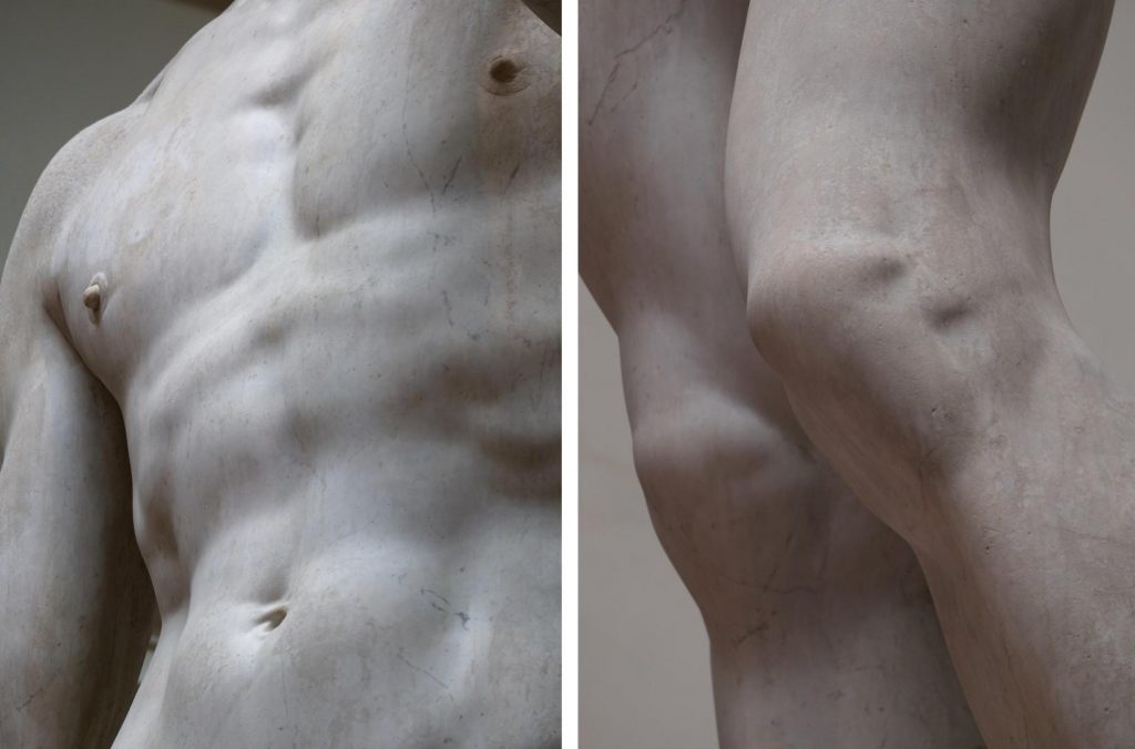 David Michelangelo: Michelangelo, David, details of the musculature, 1501–1504, Galleria dell’Accademia, Florence, Italy. Photographs by Jörg Bittner Unna via Wikimedia Commons (CC BY-SA 4.0).
