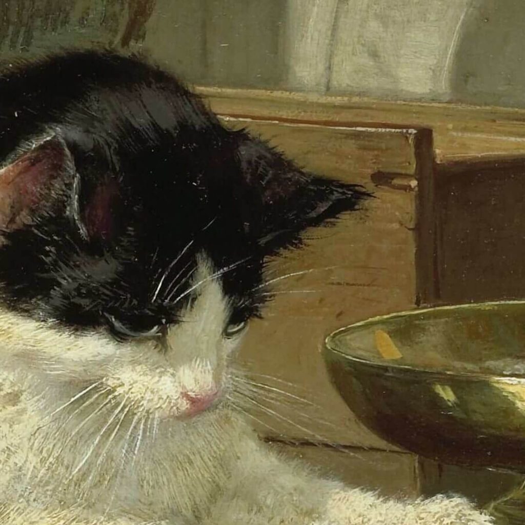 Henriëtte Ronner-Knip: Henriëtte Ronner-Knip, Cat at Play, ca 1860-1878, Rijksmuseum, Amsterdam, Netherlands. Detail.
