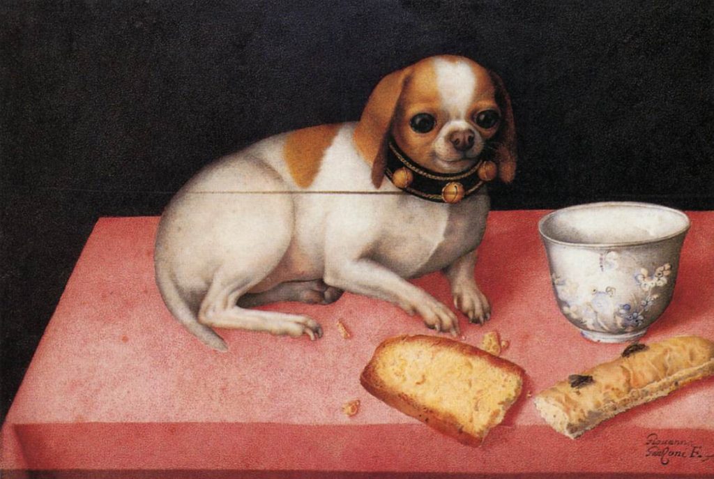 Women Artists in DailyArt App: Giovanna Garzoni, Dog with a Biscuit, c. 1648, Palazzo Pitti, Florence, Italy.