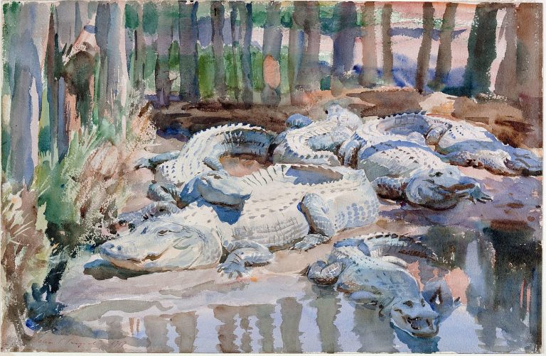 Sargent watercolors: John Singer Sargent, Muddy Alligators, 1917, watercolor over graphite on paper, Worcester Art Museum, Worcester, MA, USA.
