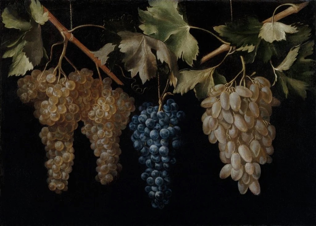 Spanish bodegones: Juan Fernández “El Labrador”, Four Bunches of Hanging Grapes, ca. 1636, Museo del Prado, Madrid, Spain.