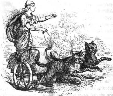 Pets in Art: Pets in Art: Ludwig Pietsch, Goddess Freyja, 1865, illustration from Die Nordischen Gottersagen by Rudolf Friedrich Reusch. Archive.org.
