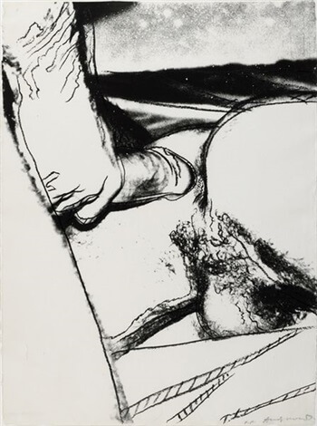 queer art: Andy Warhol, Sex Parts, 1978.