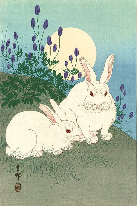 Two white rabbits with red eyes are depicted on the grass. In the background we can see large moon silhouette on blue sky.